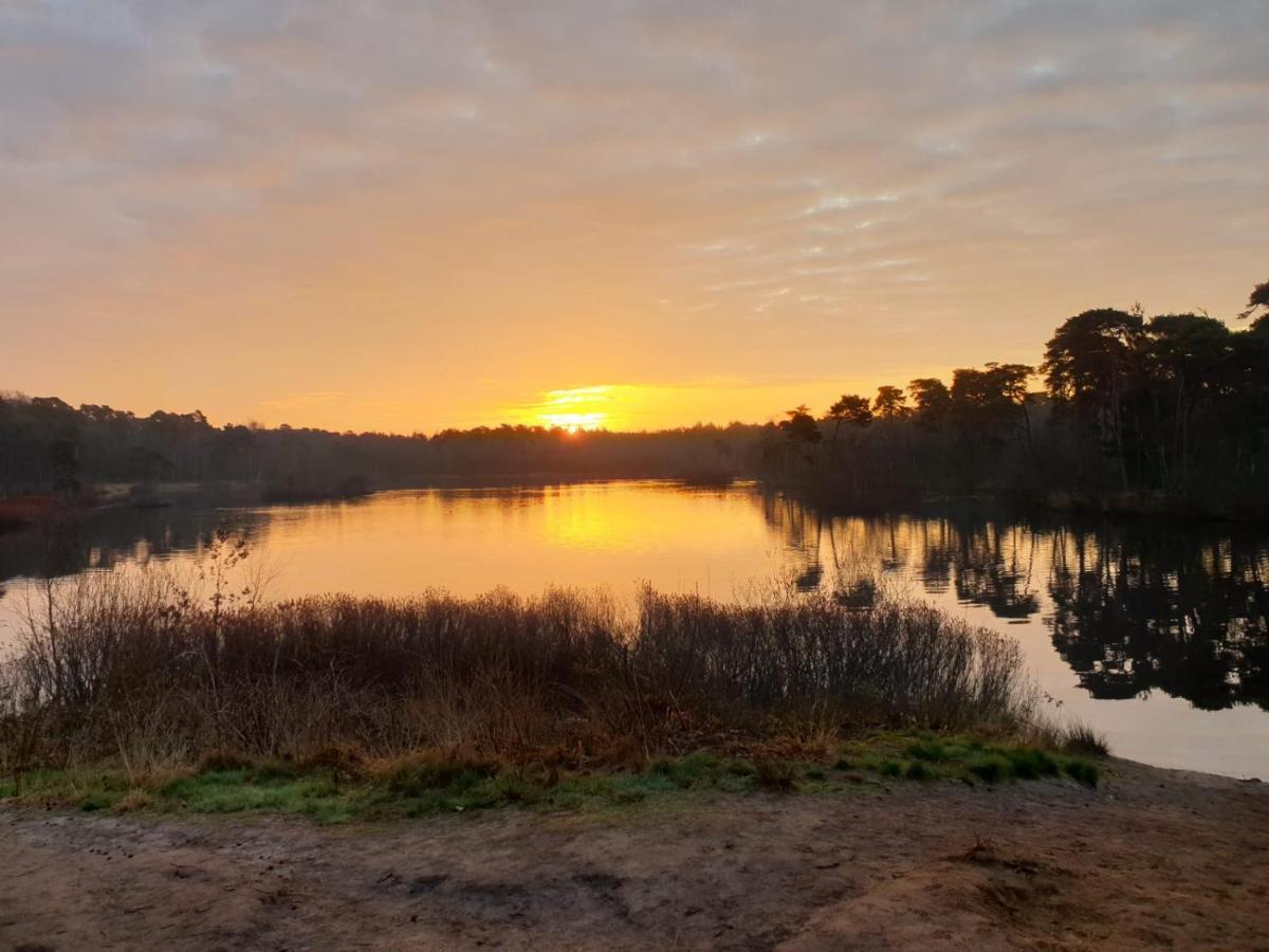 29, Natuurlijk Gelegen Nabij Efteling En Beekse Bergen, Airco & Prive Parkeren Inbegrepen! Oisterwijk Esterno foto