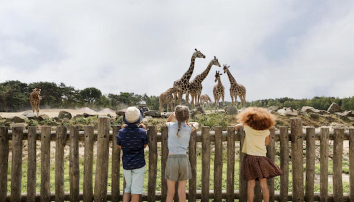 29, Natuurlijk Gelegen Nabij Efteling En Beekse Bergen, Airco & Prive Parkeren Inbegrepen! Oisterwijk Esterno foto