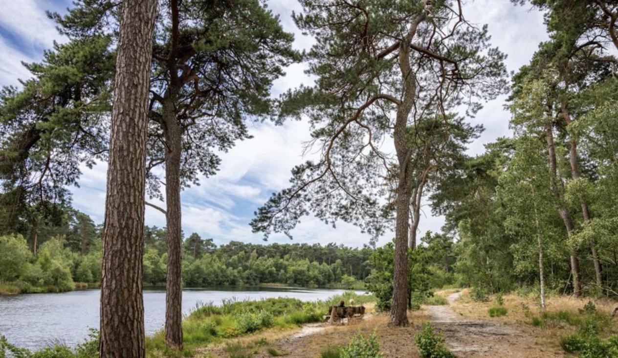 29, Natuurlijk Gelegen Nabij Efteling En Beekse Bergen, Airco & Prive Parkeren Inbegrepen! Oisterwijk Esterno foto